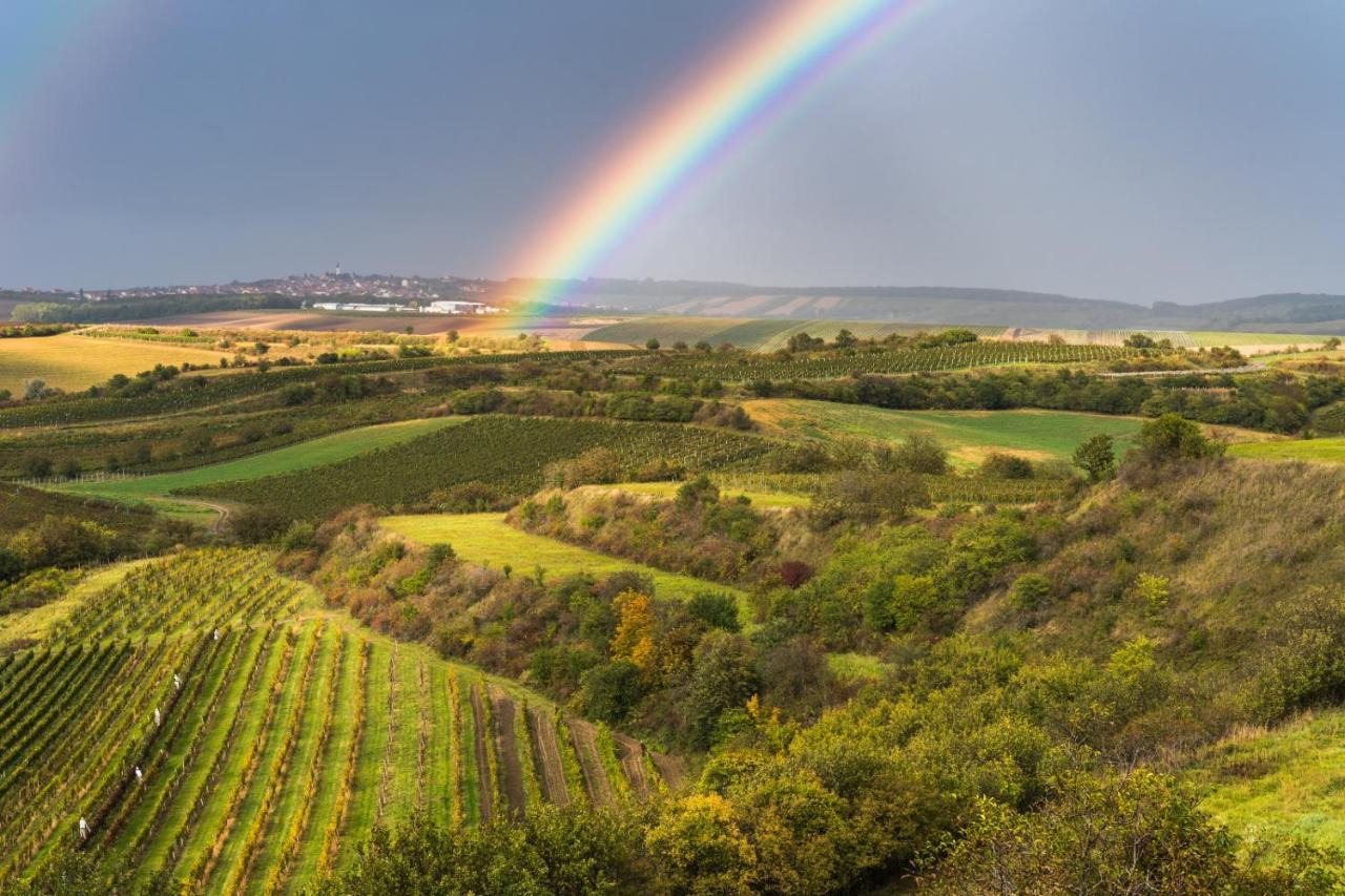 Vinný sklep Vinoza Velké Bílovice Extérieur photo
