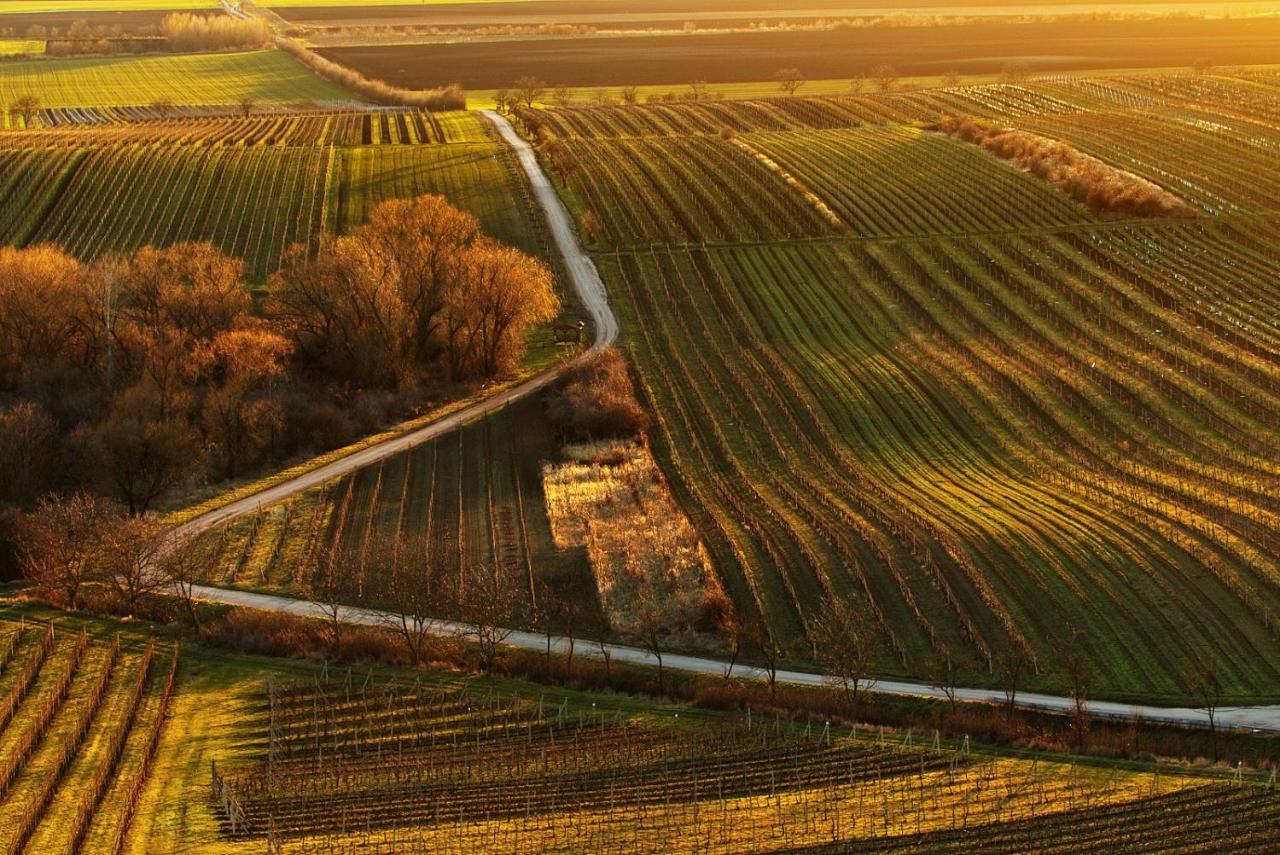 Vinný sklep Vinoza Velké Bílovice Extérieur photo