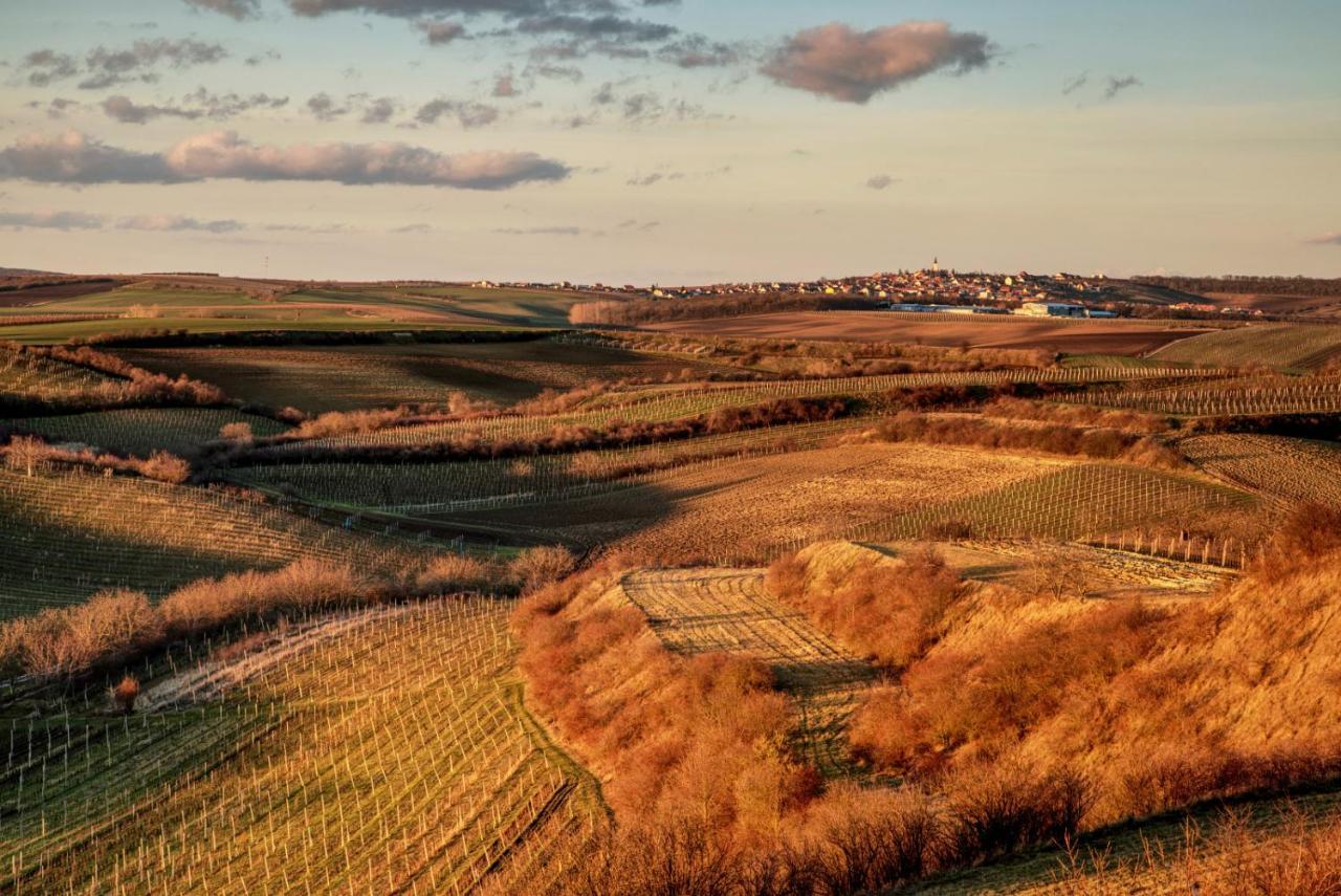 Vinný sklep Vinoza Velké Bílovice Extérieur photo