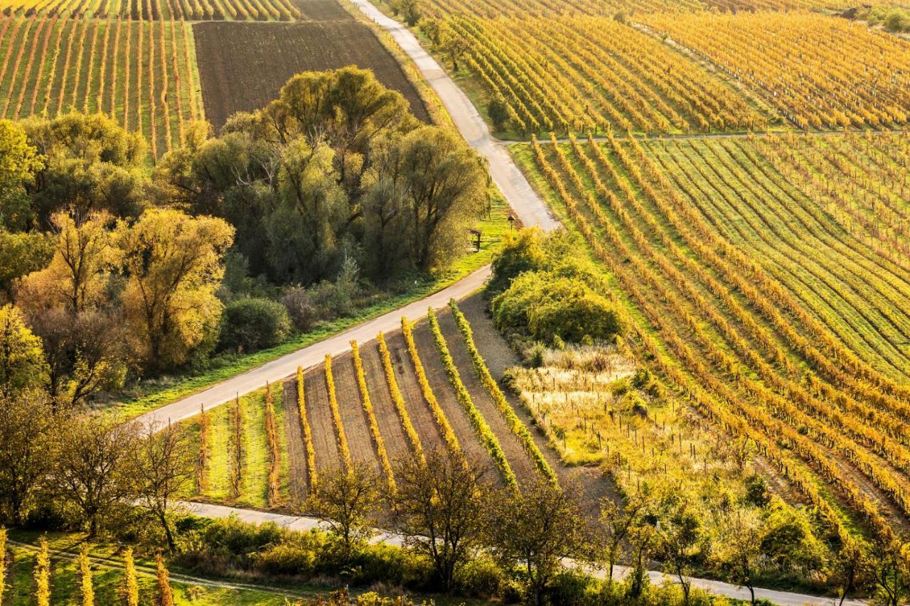 Vinný sklep Vinoza Velké Bílovice Extérieur photo